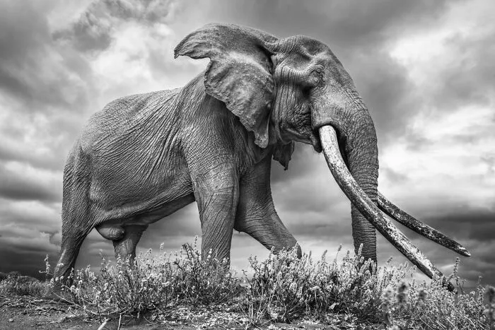 My Leap Into Wildlife Photography: 20 Images Of Nature’s Beauty