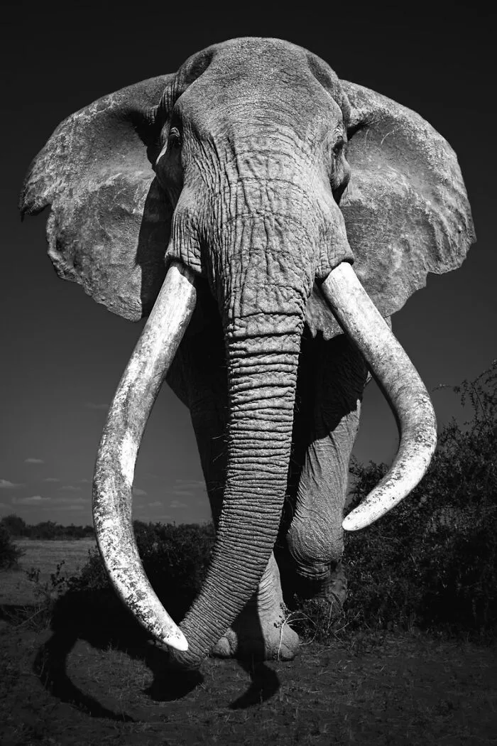 My Leap Into Wildlife Photography: 20 Images Of Nature’s Beauty