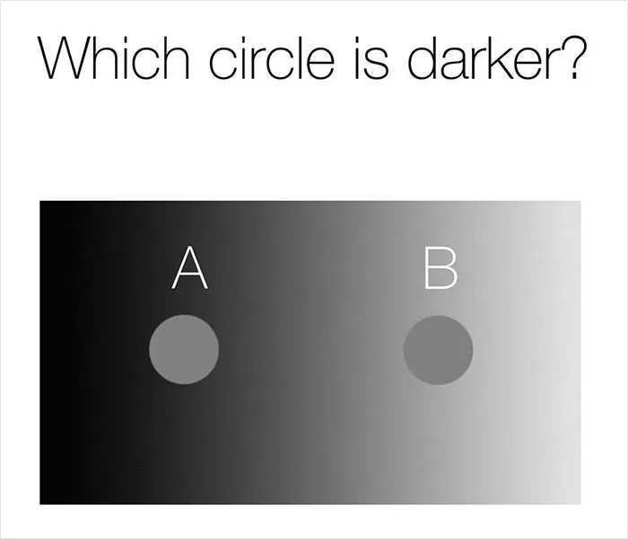30 Images Right From This Optical Illusion Page That Will Make You Think Twice About The Answer