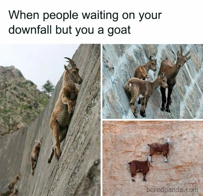 50 Funny Memes If You Need A Good Laugh Today (New Pics)
