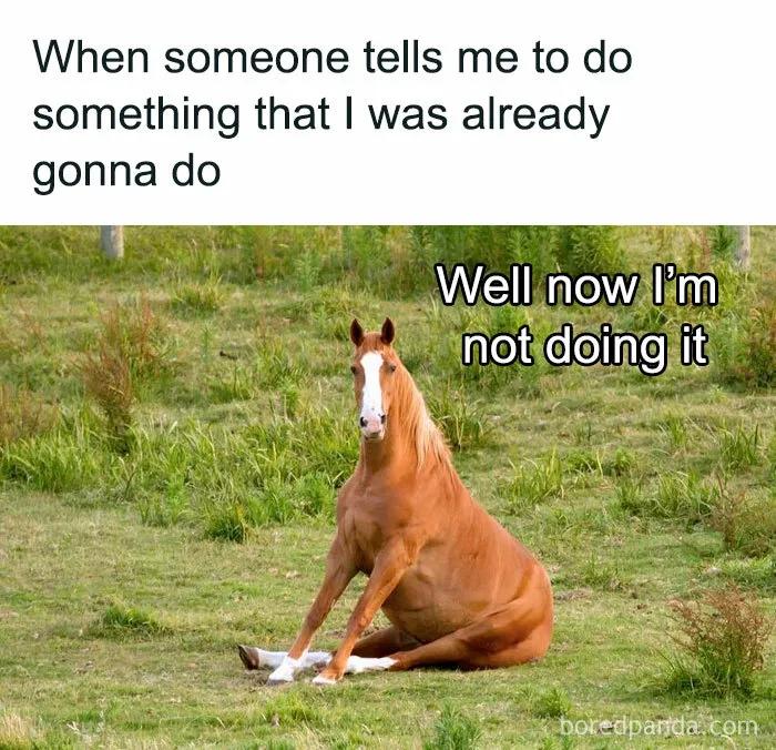 50 Funny Memes If You Need A Good Laugh Today (New Pics)