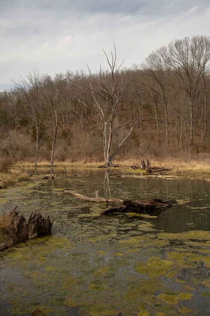 50 Disturbing Facts To Make You Want To Crawl Under Your Bed And Stay There