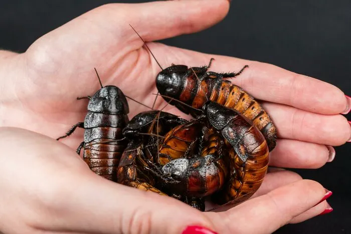 50 Disturbing Facts To Make You Want To Crawl Under Your Bed And Stay There