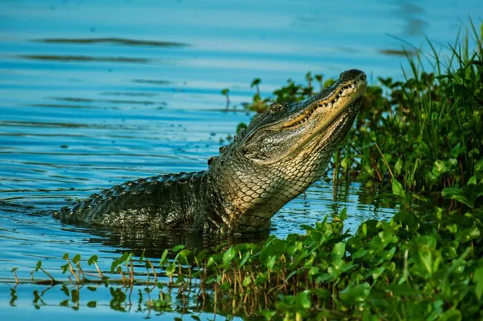 50 Disturbing Facts To Make You Want To Crawl Under Your Bed And Stay There