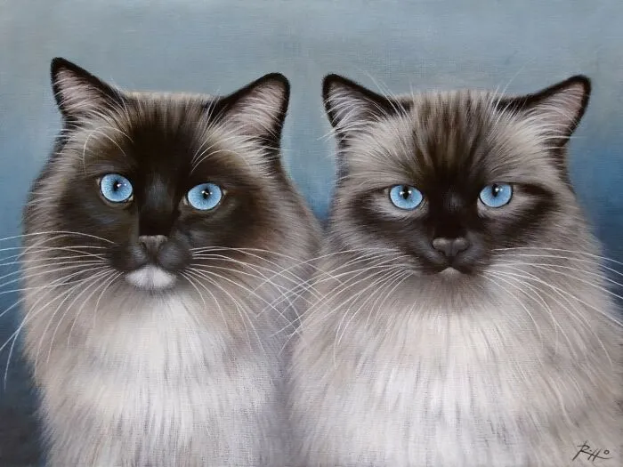 Italian Artist Roberto Rizzo Brings Pets To Life In 26 Realistic Portraits