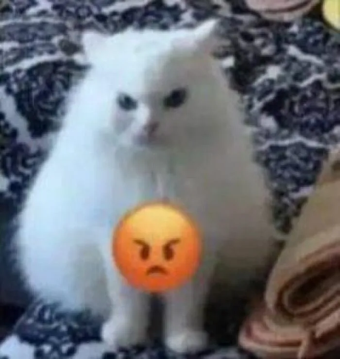 30 Times Cats Were Caught In Funny Situations