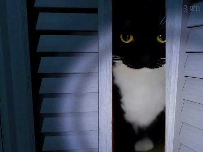30 Times Cats Were Caught In Funny Situations