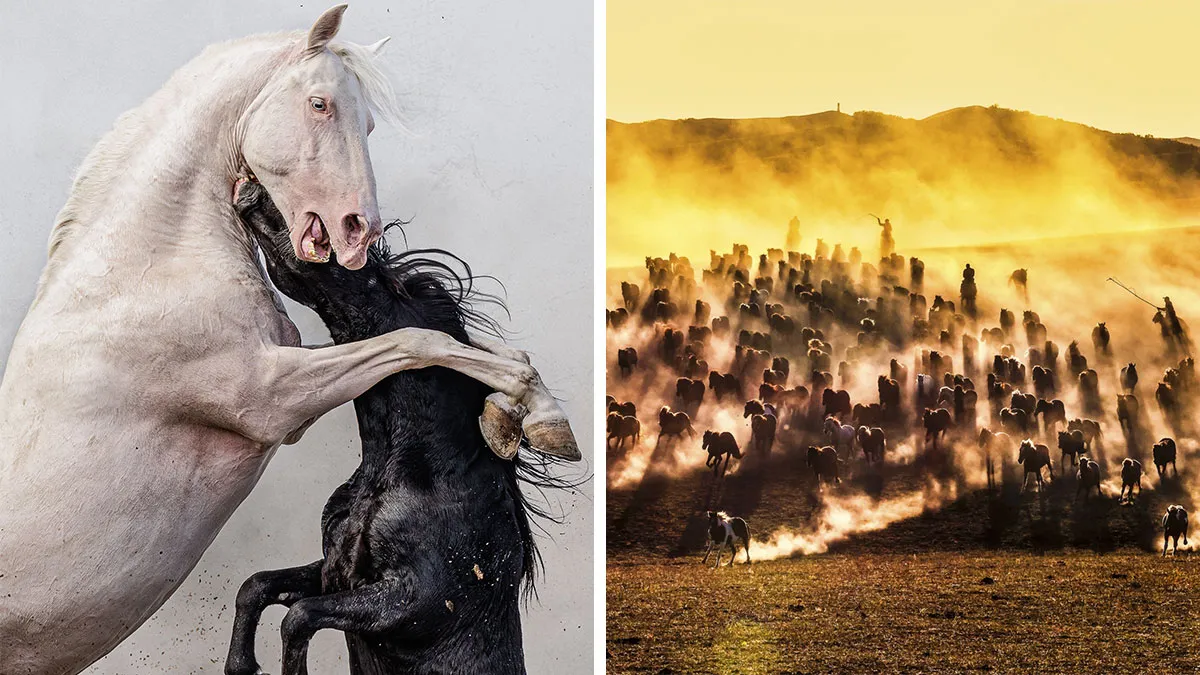 30 Captivating Images Showcasing Nature, Taken By Photographers From Around The World