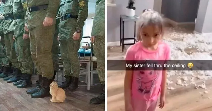This Instagram Account Posts Hilariously Chaotic Pictures, And These 50 Are Just Too Much