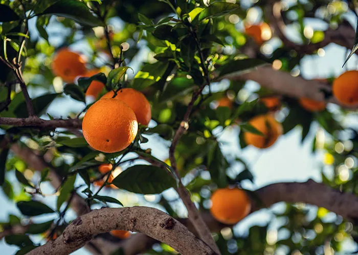 People Share 30 Things That Are Dangerously Close To Ending