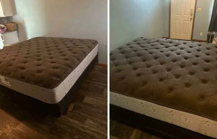 Forbidden Ice Cream Sandwich