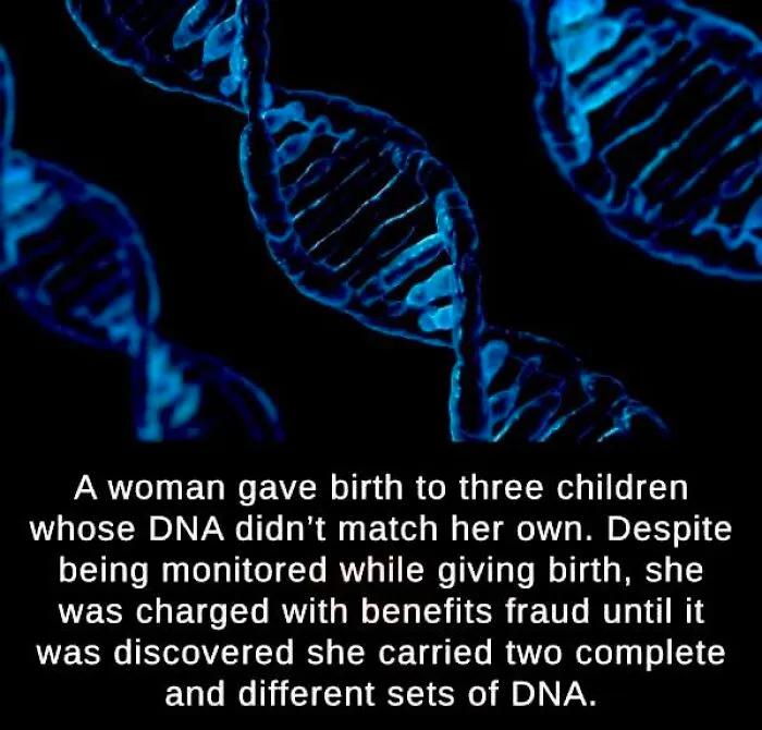 50 Posts From This FB Page Dedicated To “Amazing Facts And Unbelievable Things In The World” (New Pics)