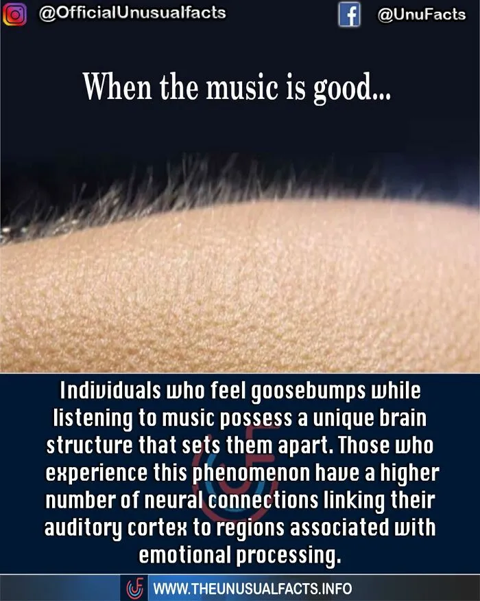 50 Posts From This FB Page Dedicated To “Amazing Facts And Unbelievable Things In The World” (New Pics)