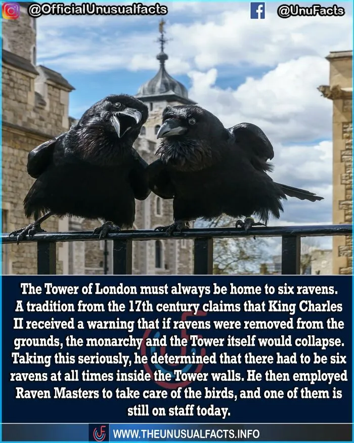 50 Posts From This FB Page Dedicated To “Amazing Facts And Unbelievable Things In The World” (New Pics)