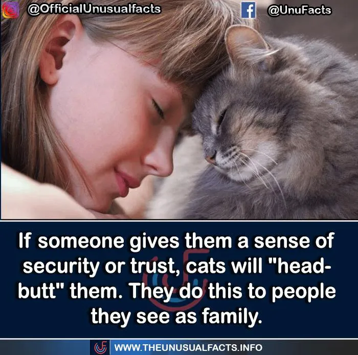 50 Posts From This FB Page Dedicated To “Amazing Facts And Unbelievable Things In The World” (New Pics)