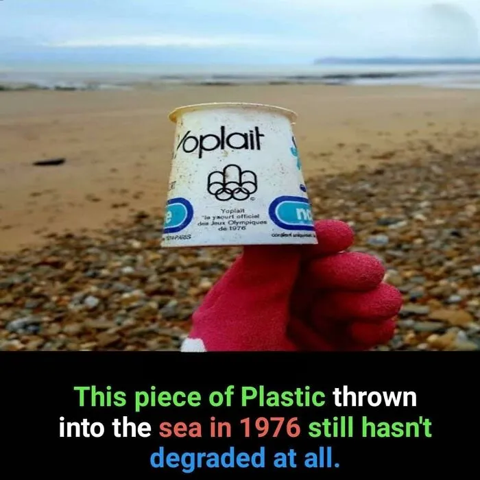 50 Posts From This FB Page Dedicated To “Amazing Facts And Unbelievable Things In The World” (New Pics)