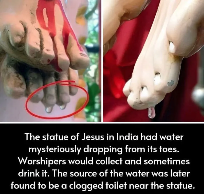 50 Posts From This FB Page Dedicated To “Amazing Facts And Unbelievable Things In The World” (New Pics)