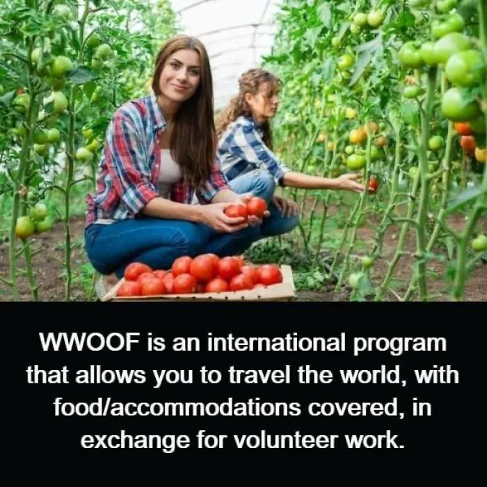 50 Posts From This FB Page Dedicated To “Amazing Facts And Unbelievable Things In The World” (New Pics)