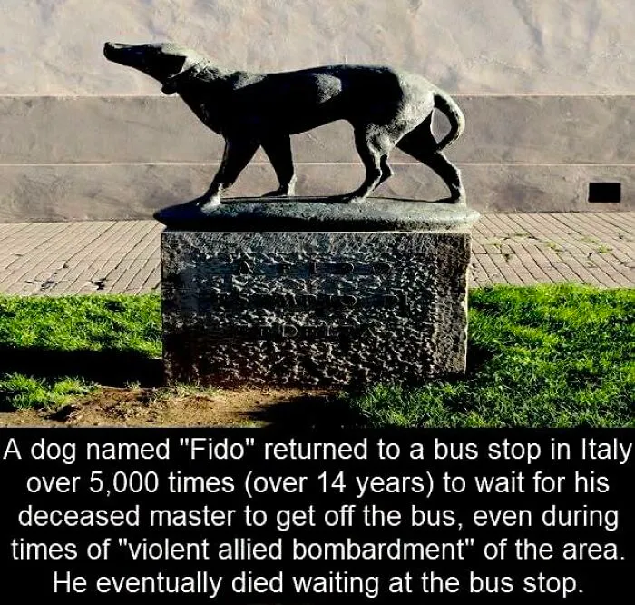 50 Posts From This FB Page Dedicated To “Amazing Facts And Unbelievable Things In The World” (New Pics)