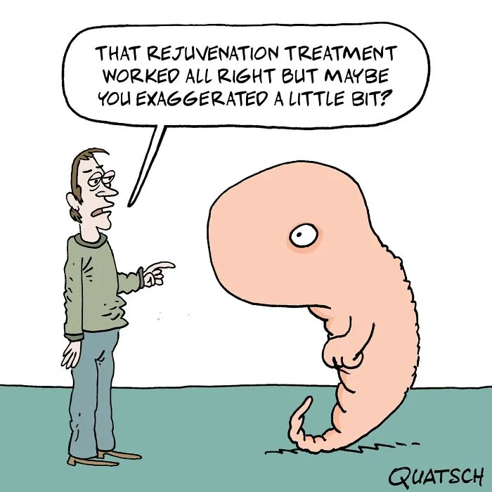 20 Absurd And Witty Comics Depicting Ridiculous Situations By Quatsch (New Pics)