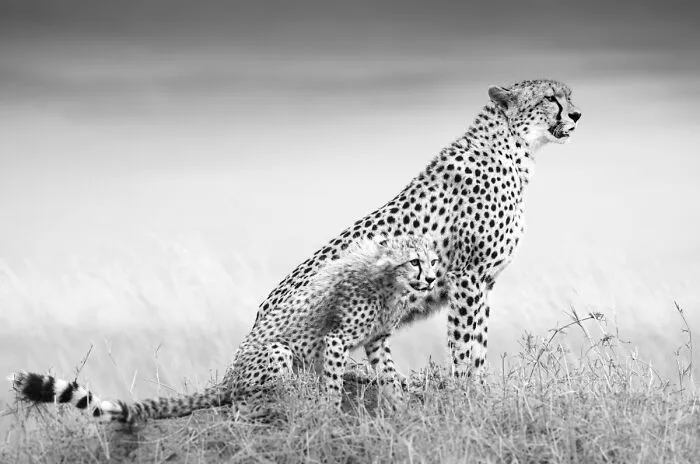My Leap Into Wildlife Photography: 20 Images Of Nature’s Beauty