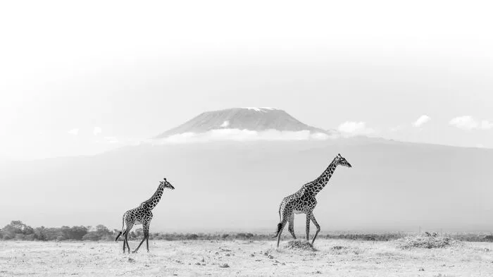 My Leap Into Wildlife Photography: 20 Images Of Nature’s Beauty