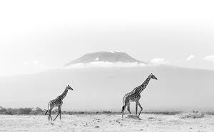 My Leap Into Wildlife Photography: 20 Images Of Nature’s Beauty