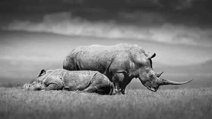 My Leap Into Wildlife Photography: 20 Images Of Nature’s Beauty