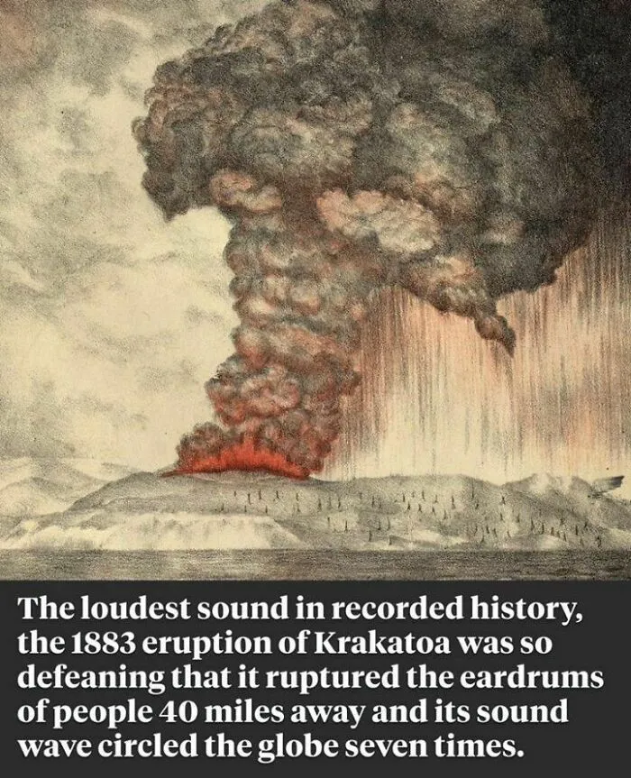 ‘All That’s Interesting’: 45 Cool Facts To Spark Your Curiosity