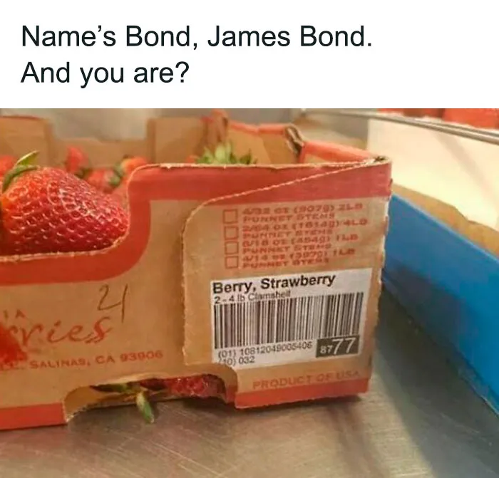 50 Random Memes To Share With A Random Person At The Bus Stop