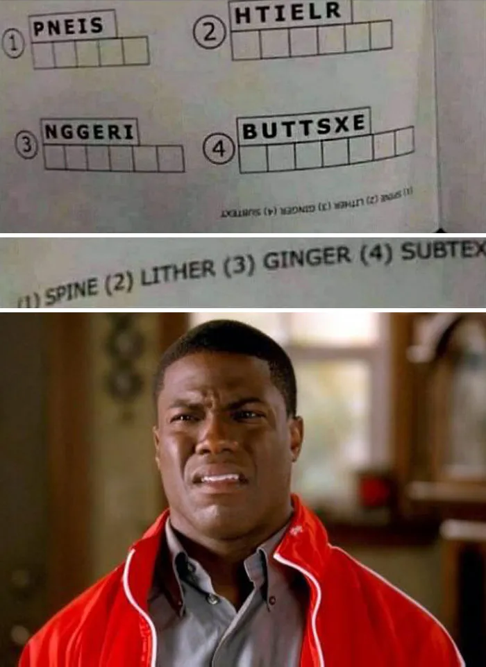 50 Random Memes To Share With A Random Person At The Bus Stop