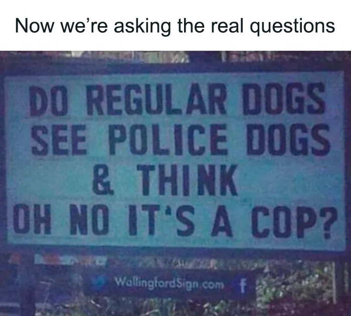 50 Random Memes To Share With A Random Person At The Bus Stop
