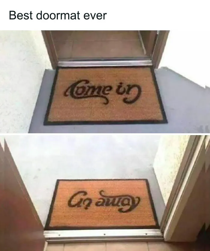 50 Random Memes To Share With A Random Person At The Bus Stop