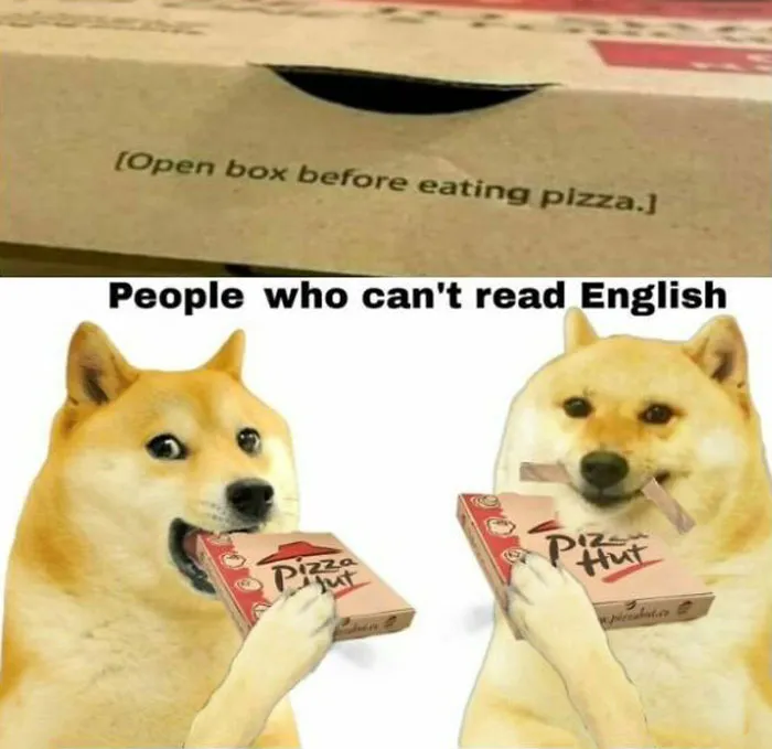 50 Random Memes To Share With A Random Person At The Bus Stop