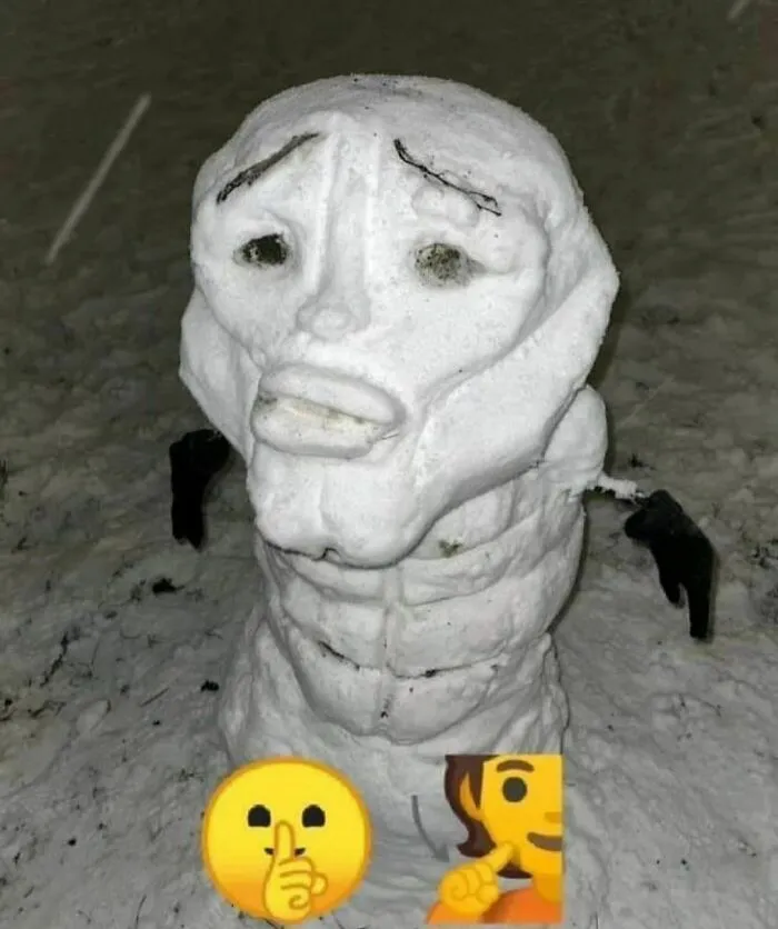 Funny-Cursed-Pics