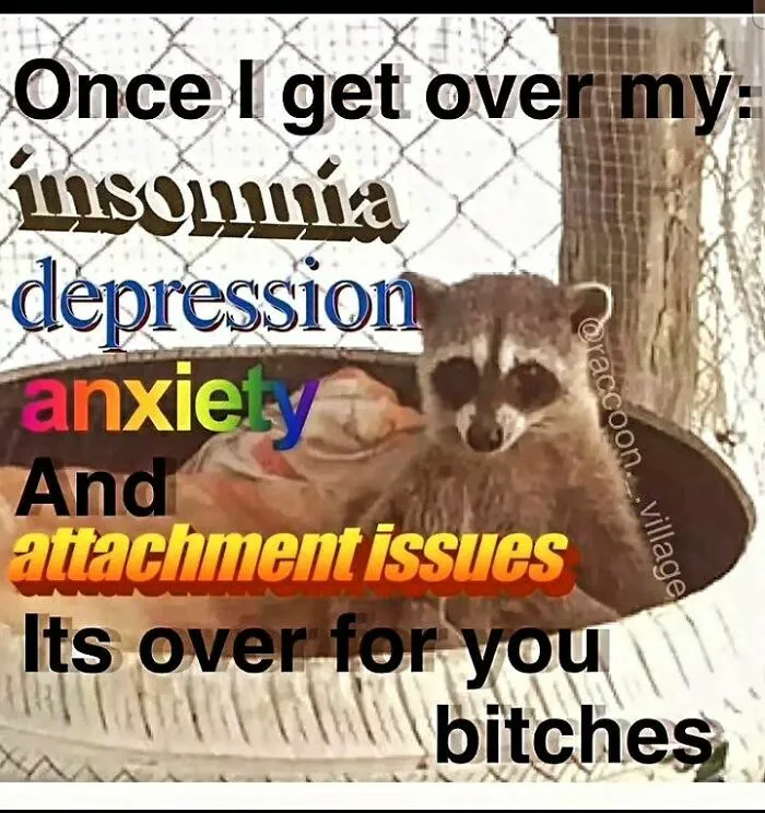 Raccoons Have Never Been More Relatable Than They Are In These 30 Dark Humor Memes