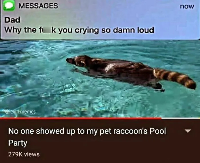Raccoons Have Never Been More Relatable Than They Are In These 30 Dark Humor Memes