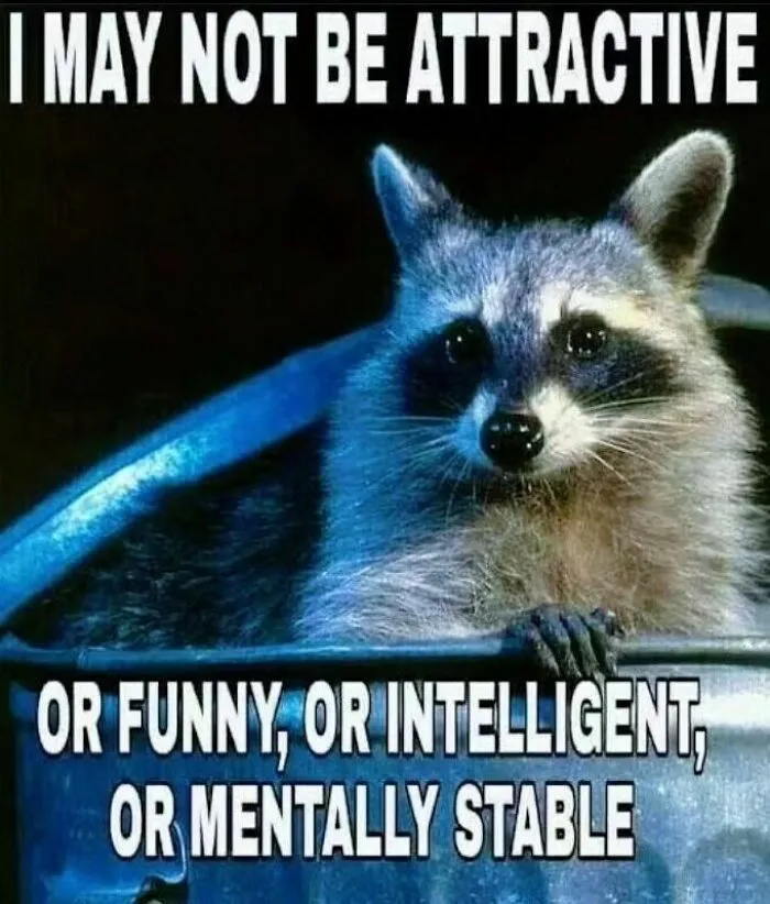 Raccoons Have Never Been More Relatable Than They Are In These 30 Dark Humor Memes