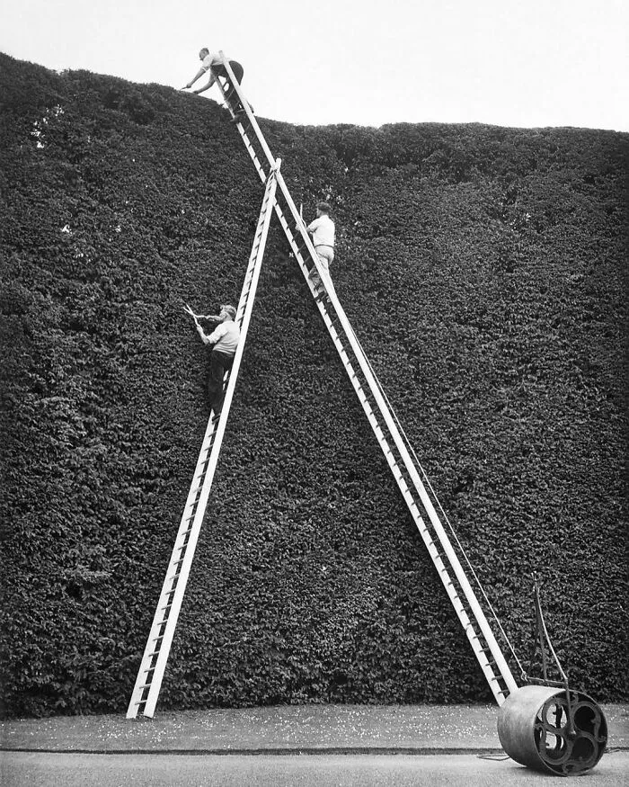 36 Fotos históricas inolvidables que cuentan historias más allá de las palabras