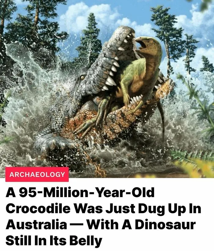 ‘All That’s Interesting’: 45 Cool Facts To Spark Your Curiosity