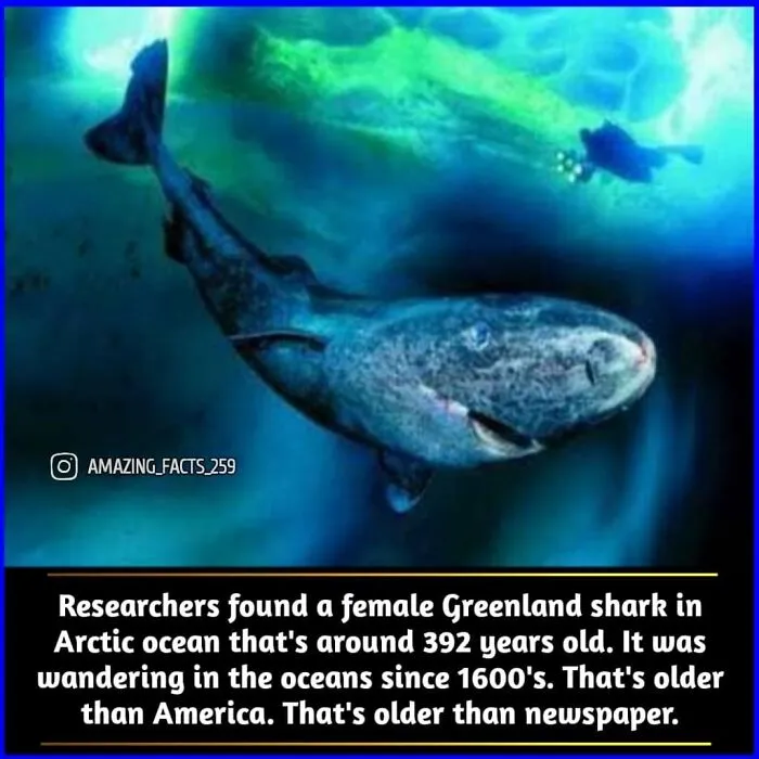 50 Of The Most Interesting And Fascinating Facts Shared On “Amazing Facts”