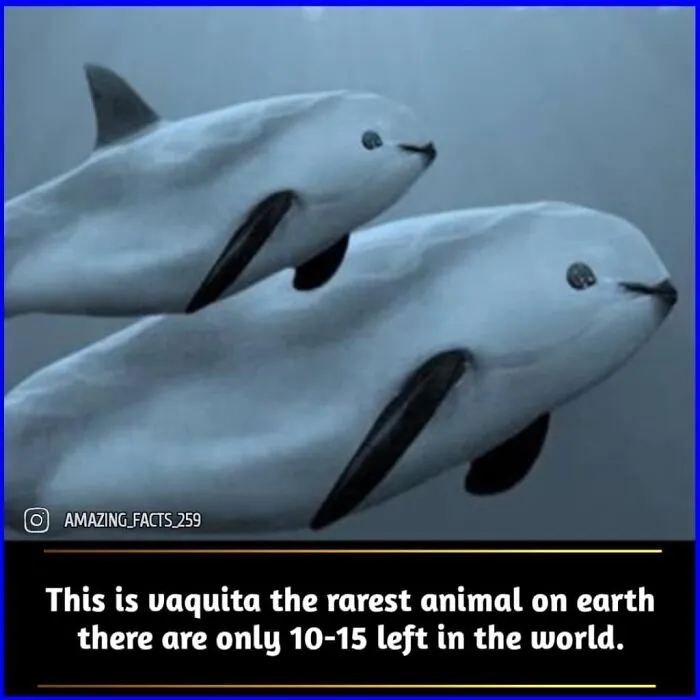 50 Of The Most Interesting And Fascinating Facts Shared On “Amazing Facts”
