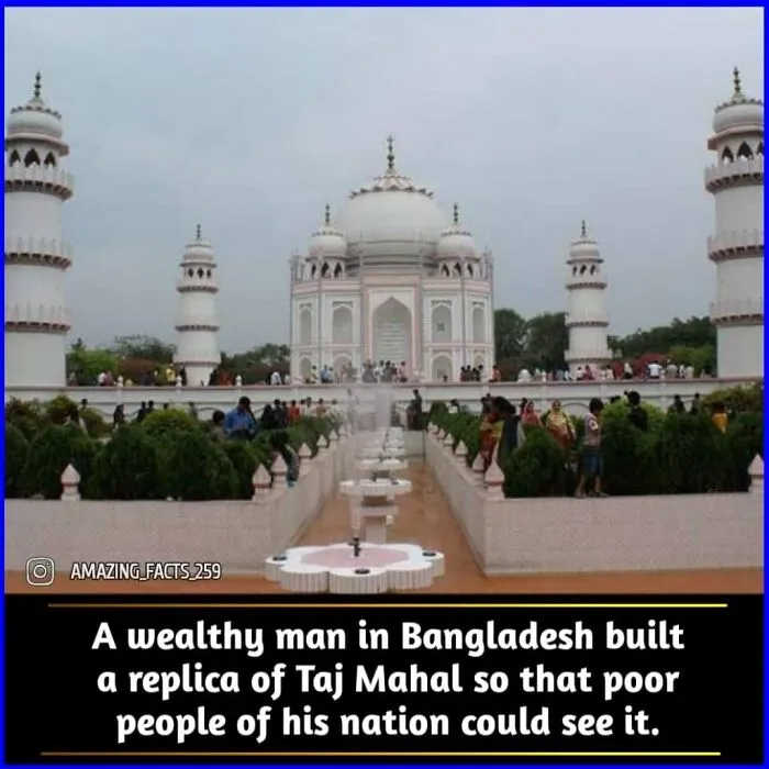 Amazing-Interesting-Facts