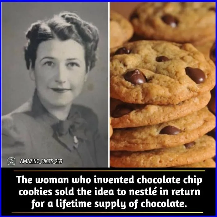 Amazing-Interesting-Facts