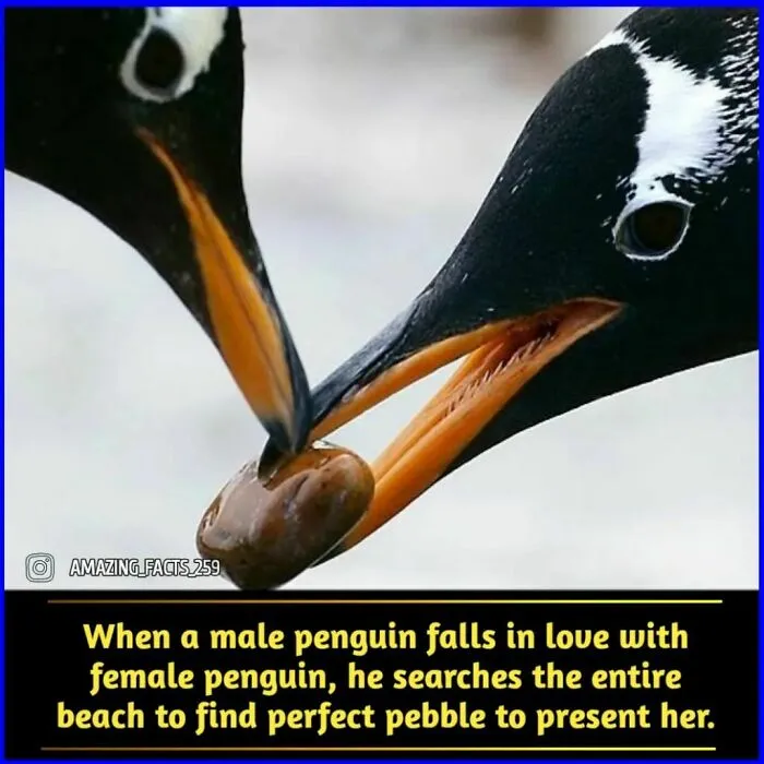 50 Of The Most Interesting And Fascinating Facts Shared On “Amazing Facts”
