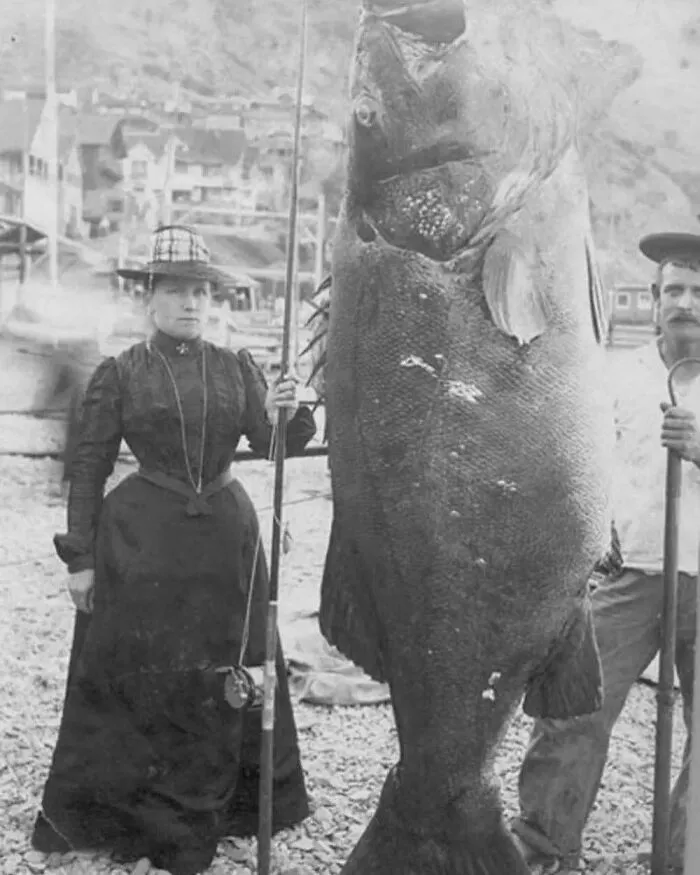 36 Fotos históricas inolvidables que cuentan historias más allá de las palabras