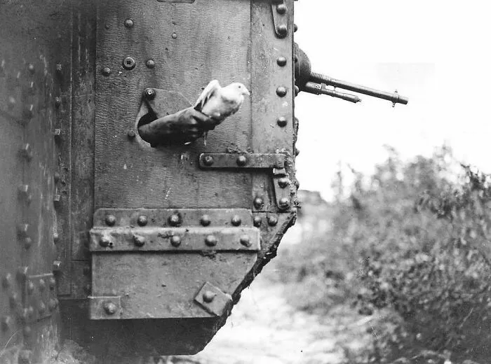 50 Unforgettable Historical Photos That Tell Stories Beyond Words