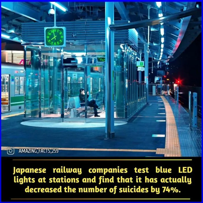 50 Of The Most Interesting And Fascinating Facts Shared On “Amazing Facts”