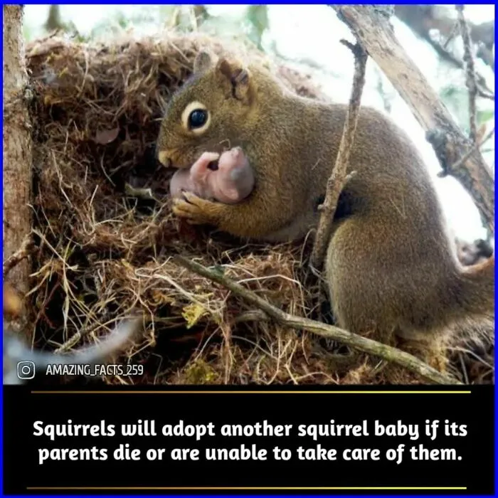 50 Of The Most Interesting And Fascinating Facts Shared On “Amazing Facts”