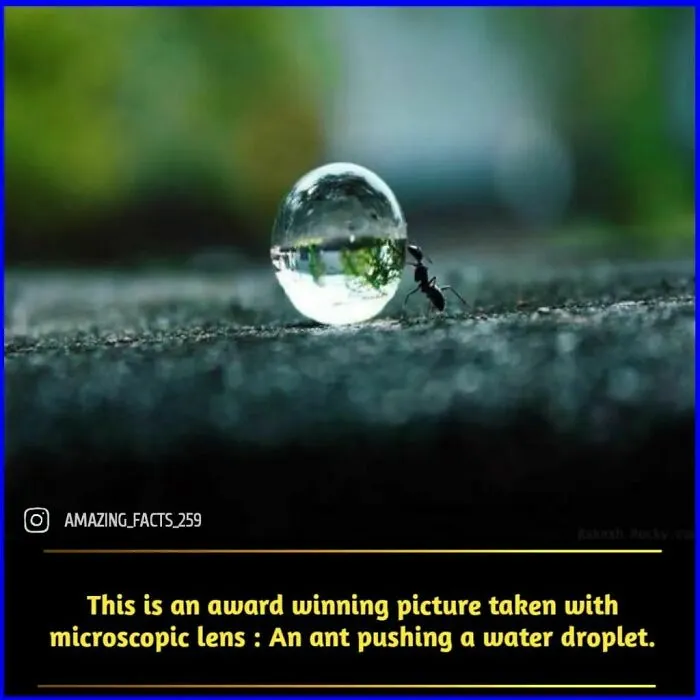50 Of The Most Interesting And Fascinating Facts Shared On “Amazing Facts”